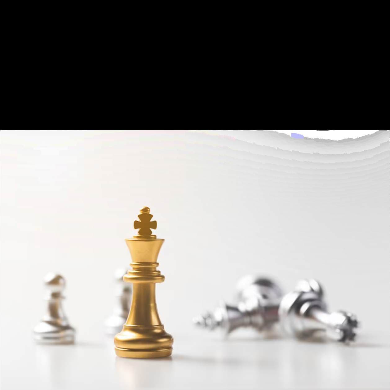 Strategic governance and leadership