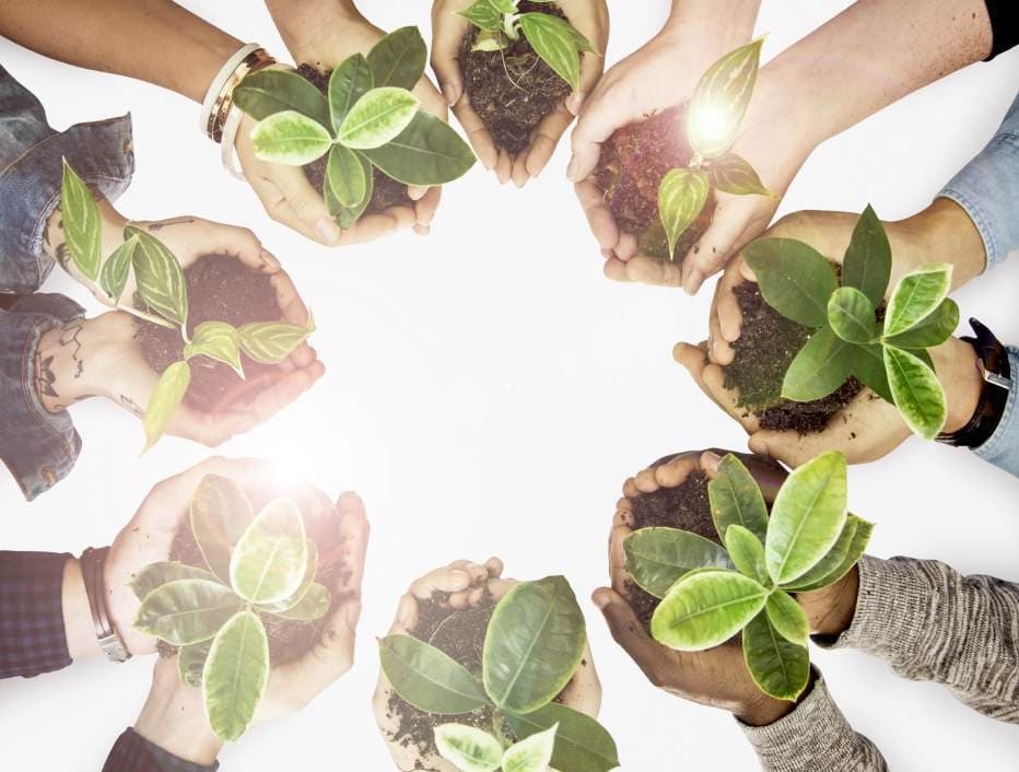 Sustainability at Babatunde Yunus & Co.